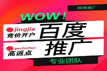 案例展示：SEM助力中小企业拓展市场